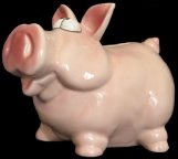 Pig Collections - Piggy bank